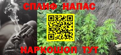jwh Гусев