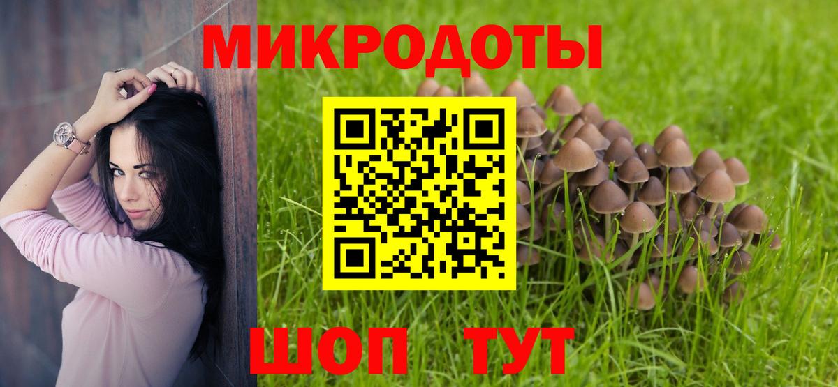 Псилоцибиновые грибы Дятьково