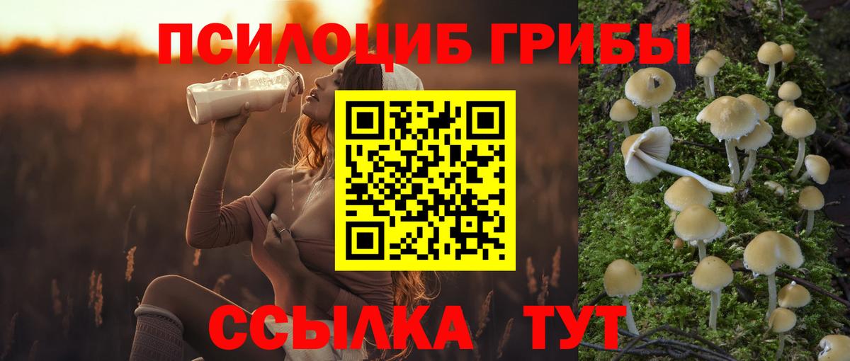 Псилоцибиновые грибы Magic Shrooms Дятьково