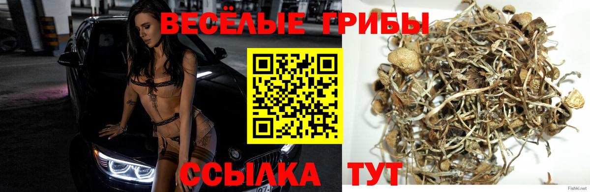 Псилоцибиновые грибы Magic Shrooms  Вход с VPN  Дятьково 
